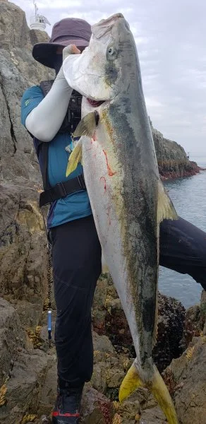 20190901_074711.webp