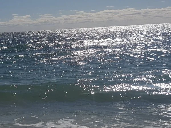 20191005_104924.webp