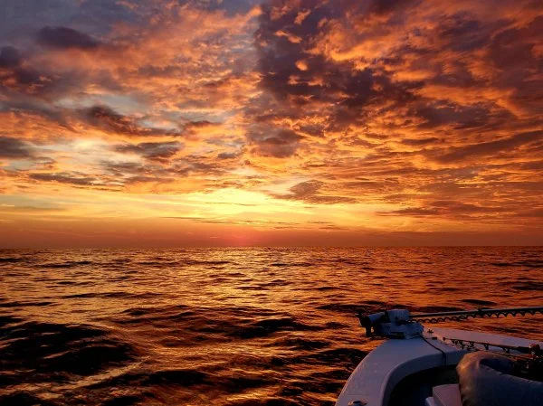 20190703_110312.webp
