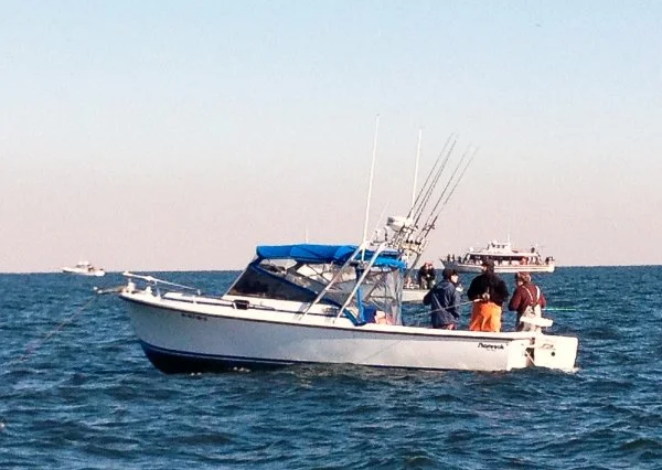 Boat_edited.jpg