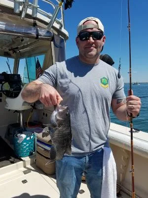 51521seabass.webp