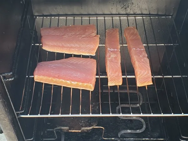 613SALMON.webp