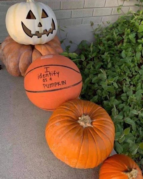 pumpkin joke.webp