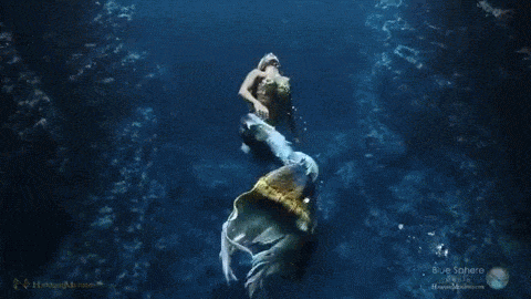FA4B0870-4D5C-4845-9AEB-55BA0CB22ACA.gif