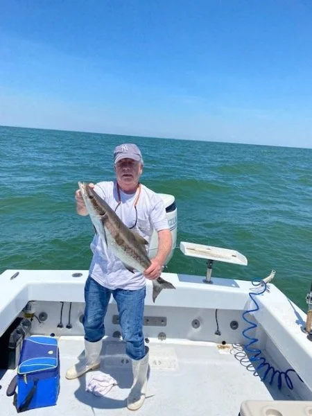 Cobia June 2022.jpg