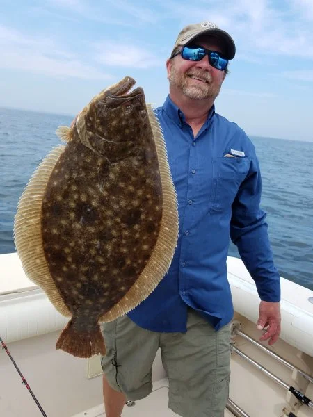 frankg7.2fluke82320.webp