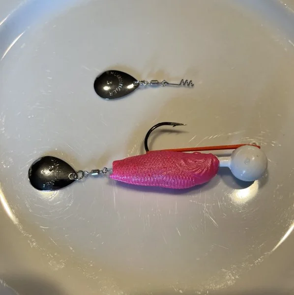 318EDA5E-14AA-4DFD-BDAD-ACFD9F6F3F54_1_201_a.jpeg