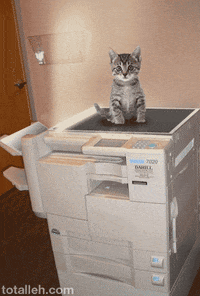 1660082248594.gif