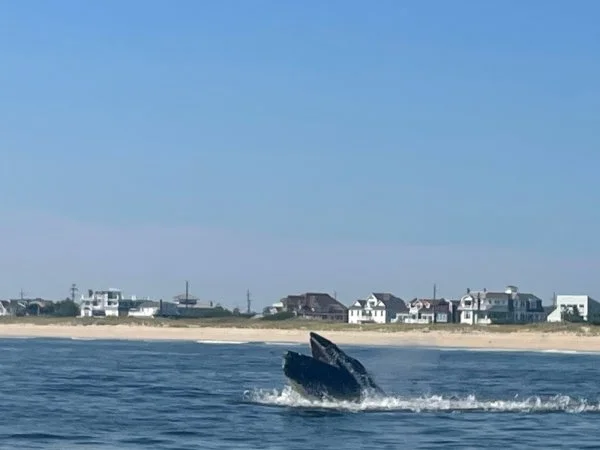 IMG_3004.jpg
