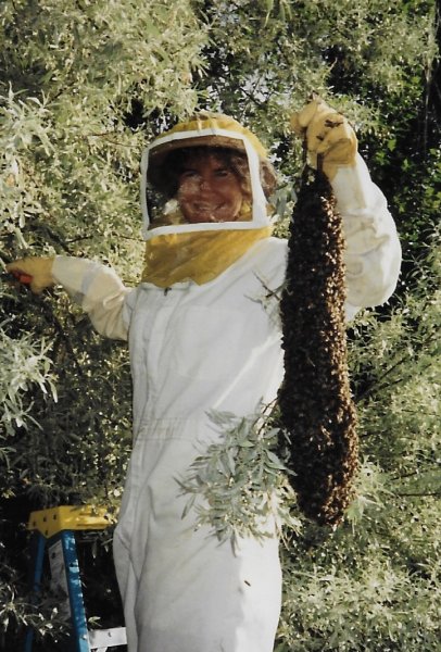 Nice Swarm.jpeg